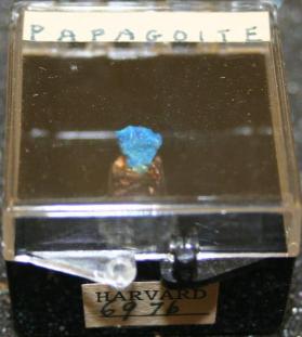 Papagoite
