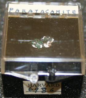 Paratacamite