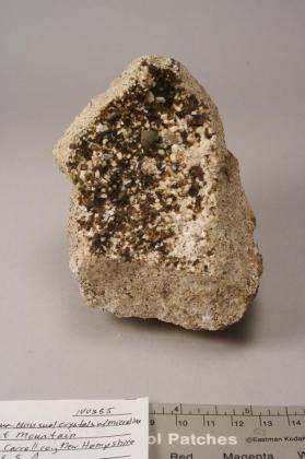 Biotite