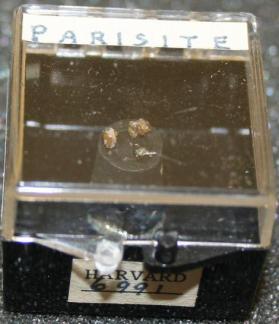 Parisite