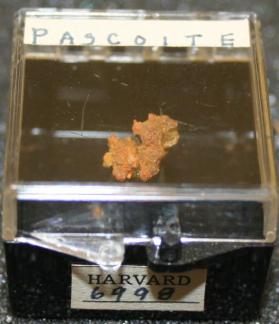 Pascoite
