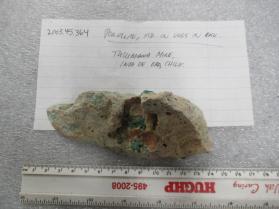 Powellite