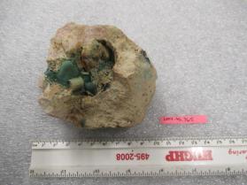 Powellite
