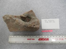 Powellite