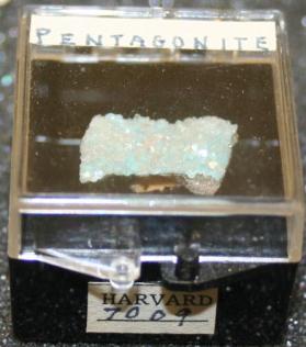 Pentagonite
