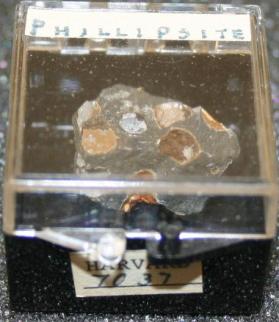 Phillipsite