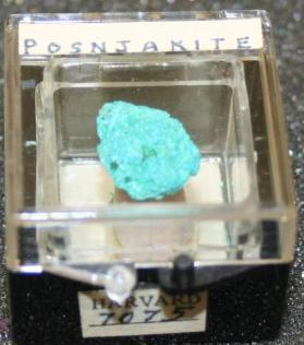Posnjakite