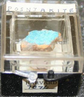 Posnjakite
