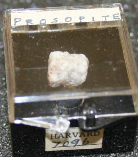 Prosopite