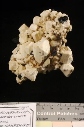 Astrophyllite with Albite and Arfvedsonite and ZIRCON