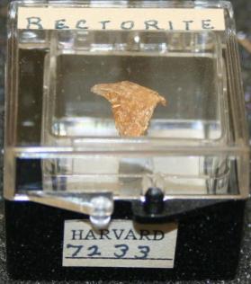 Rectorite