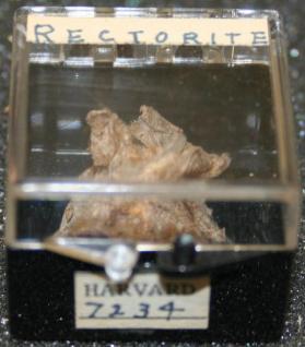 Rectorite