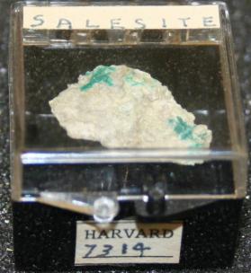 Salesite