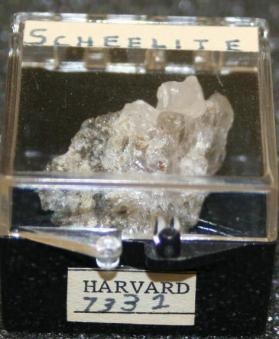 SCHEELITE