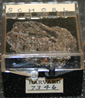 SCHORL