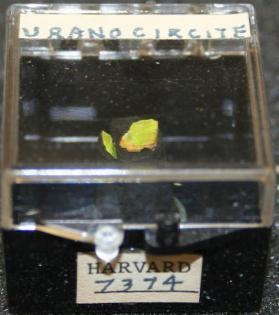 Uranocircite