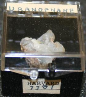 Uranophane