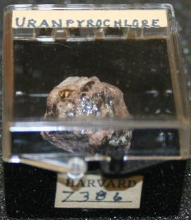 Uranpyrochlore