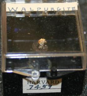 Walpurgite