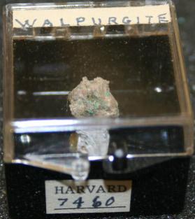 Walpurgite