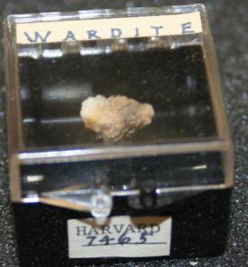 Wardite