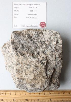 Granodiorite