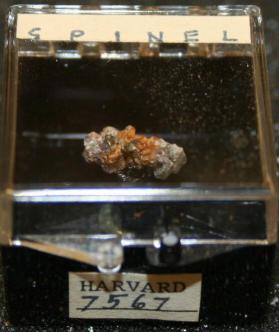 SPINEL