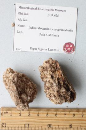 Indian Mountain Leucogranodiorite