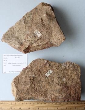 Indian Mountain Leucogranodiorite