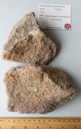 Indian Mountain Leucogranodiorite
