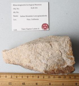 Indian Mountain Leucogranodiorite