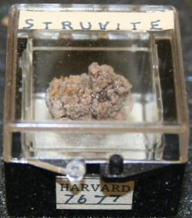Struvite