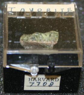 Tavorite