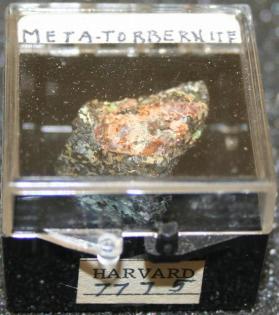 Metatorbernite