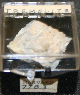 TREMOLITE