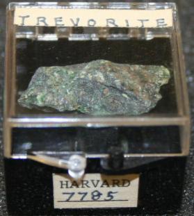Trevorite