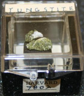 Tungstite