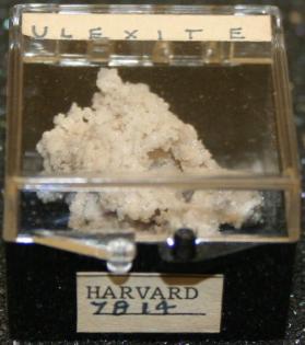 Ulexite