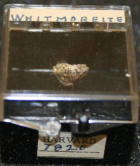 Whitmoreite