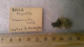 argentite
