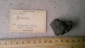 argentite