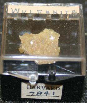 Wulfenite