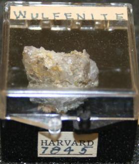 Wulfenite
