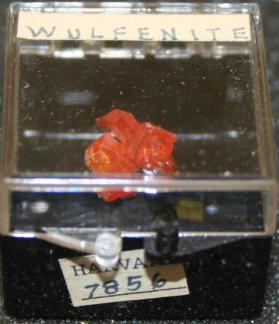 Wulfenite