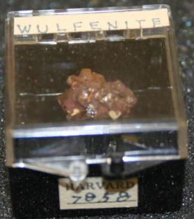 Wulfenite