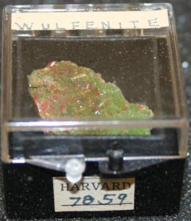 Wulfenite