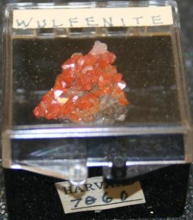 Wulfenite