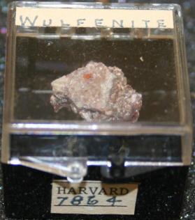 Wulfenite