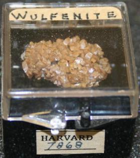 Wulfenite