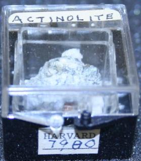 Actinolite